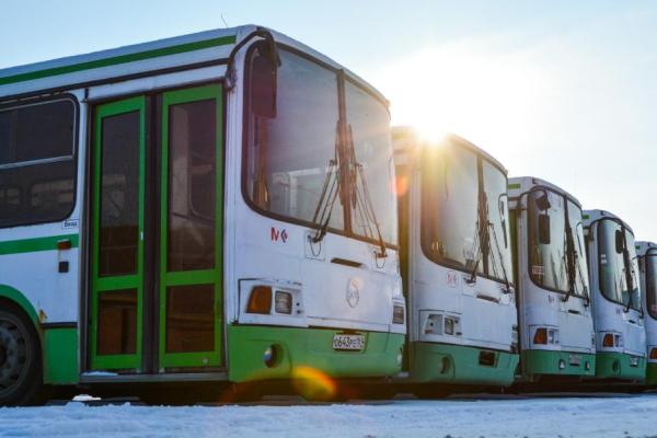 Автобусный маршрут №79 просят не упразднять в Ростове-на-Дону